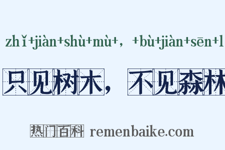 只见树木，不见森林是什么意思的图片